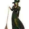 Spirit Halloween Adult Wicked Witch Costume - The Wizard Of Oz