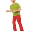 Spirit Halloween Kids Shaggy Costume - Scooby-Doo -Toddler Costumes Shop 07650971 a